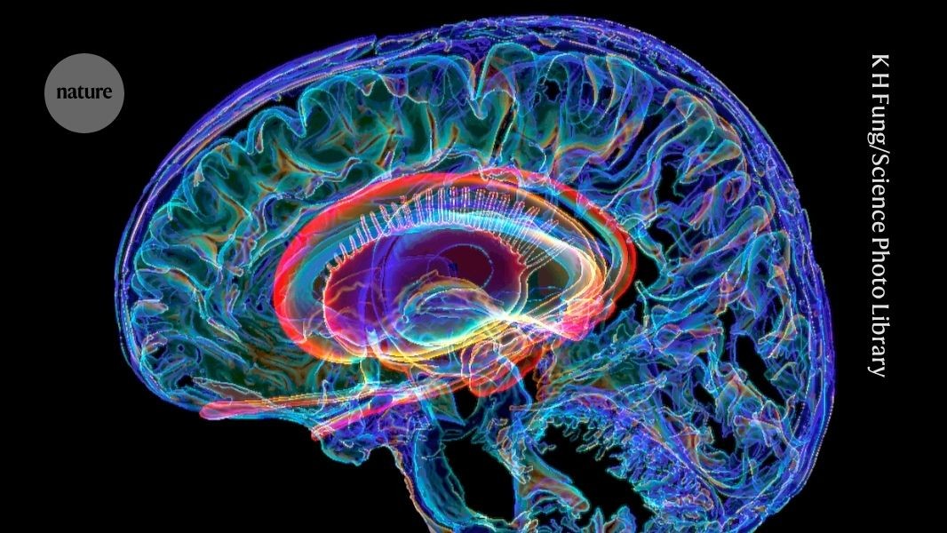 Your brain on drugs: different psychedelics work in surprisingly similar ways